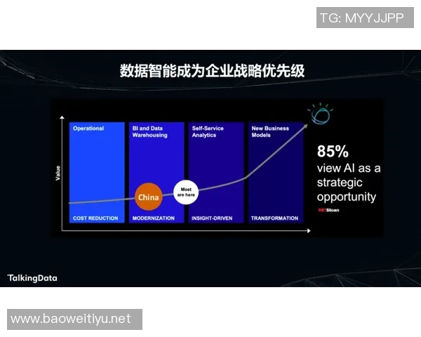 运动数据南京街舞队意识表现的深度数据分析与探讨