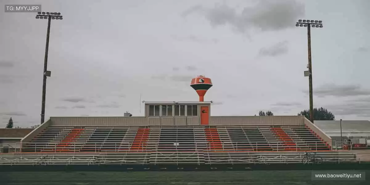 巅峰对决,心跳与赛事同频!💥⚡